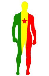 Cameroon Flag Spandex Lycra Zentai Suit Cameroon Flag Spandex Lycra Zentai Suit