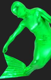 Mermaid! Green Shiny Metallic Full-body Mermaid Zentai Mermaid! Green Shiny Metallic Full-body Mermaid Zentai