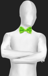 Neon Green Satin Bow Tie Neon Green Satin Bow Tie